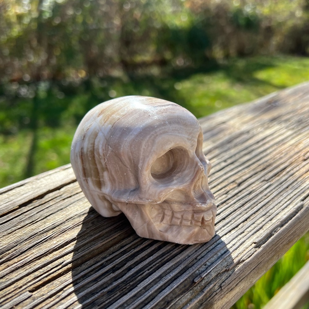 Gorgeous banded onyx skull